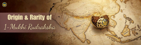 Origin & Rarity of 1-Mukhi Rudraksha