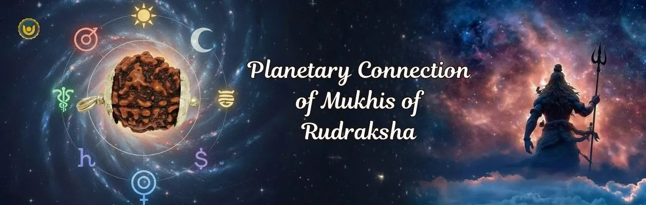 Planetary Connection of Mukhis of Rudraksha