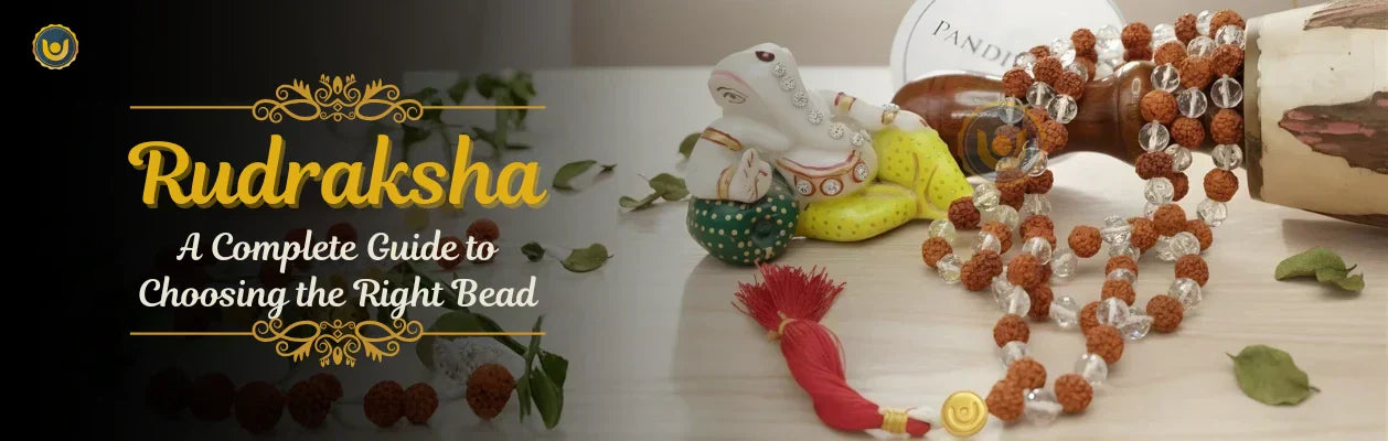 Rudraksha Authenticity & Practical Concerns: A Complete Guide to Choosing the Right Bead