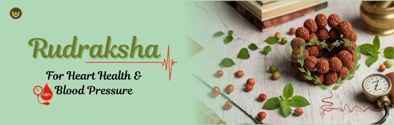 Rudraksha for Heart Health & Blood Pressure