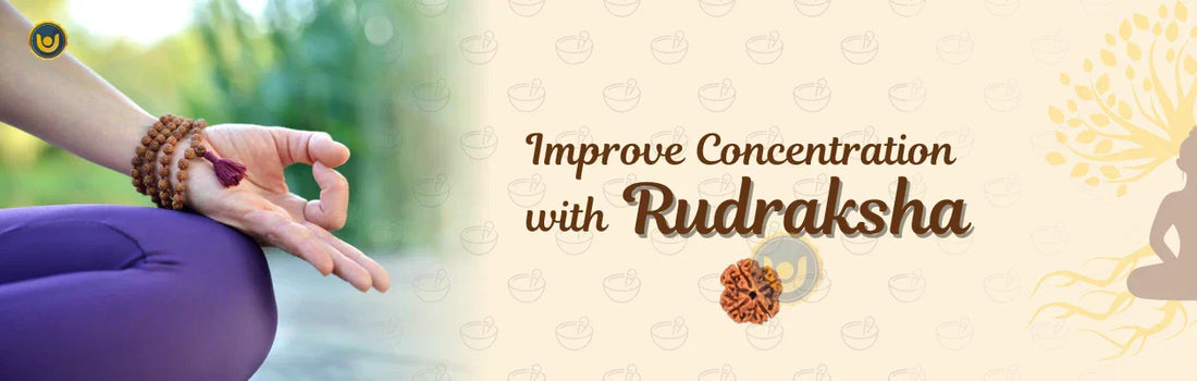 Rudraksha to Improve Concentration: A Sacred Tool for Sharper Focus & Mental Clarity