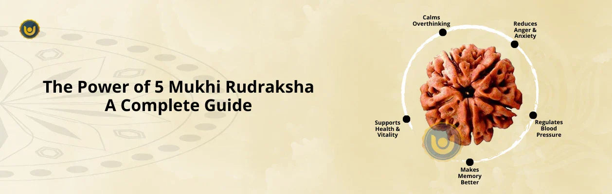 The Power of 5 Mukhi Rudraksha: A Complete Guide