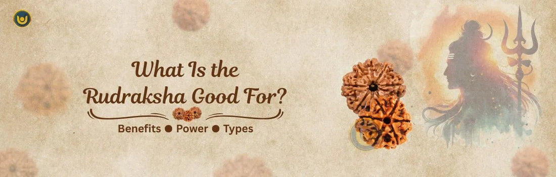 What Is the Rudraksha Good For?
