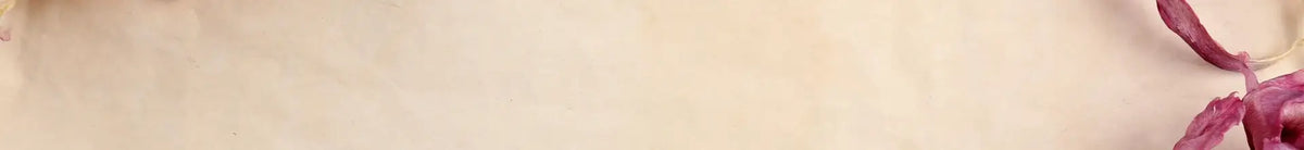 Collection Header Page