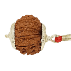 10 Mukhi Rudraksha