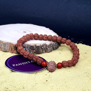 11 Mukhi Rudraksha Bracelet with 5 Mukhi Beads and Red Jasper Stones