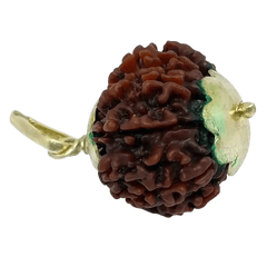 11 Mukhi Rudraksha