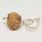 13 Mukhi Rudraksha — close-up macro showing surface texture and natural lines