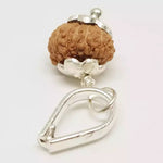 14 Mukhi Rudraksha — packaging back showing wearing instructions