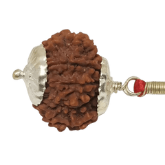 15 Mukhi Rudraksha