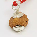 17 Mukhi Rudraksha — authenticity certificate and lab report