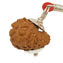 17 Mukhi Rudraksha