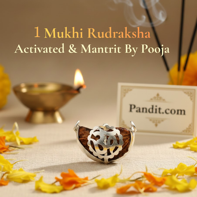 1 Faced Rudraksha – India