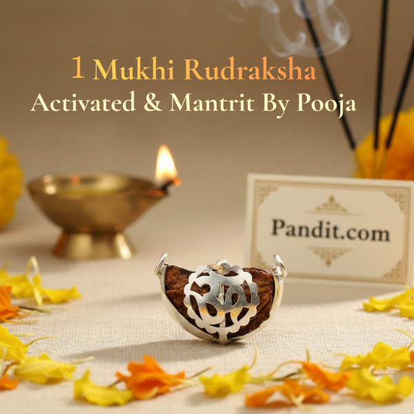 1 Faced Rudraksha — main bead view showing mukhi (faces)