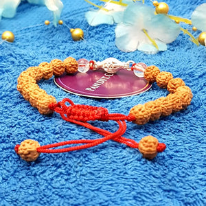 1 Mukhi Rudraksha Bracelet with 5 Mukhi and Crystal Sphatik Stones