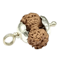 22 Mukhi Rudraksha
