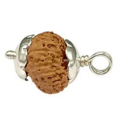 23 Mukhi Rudraksha