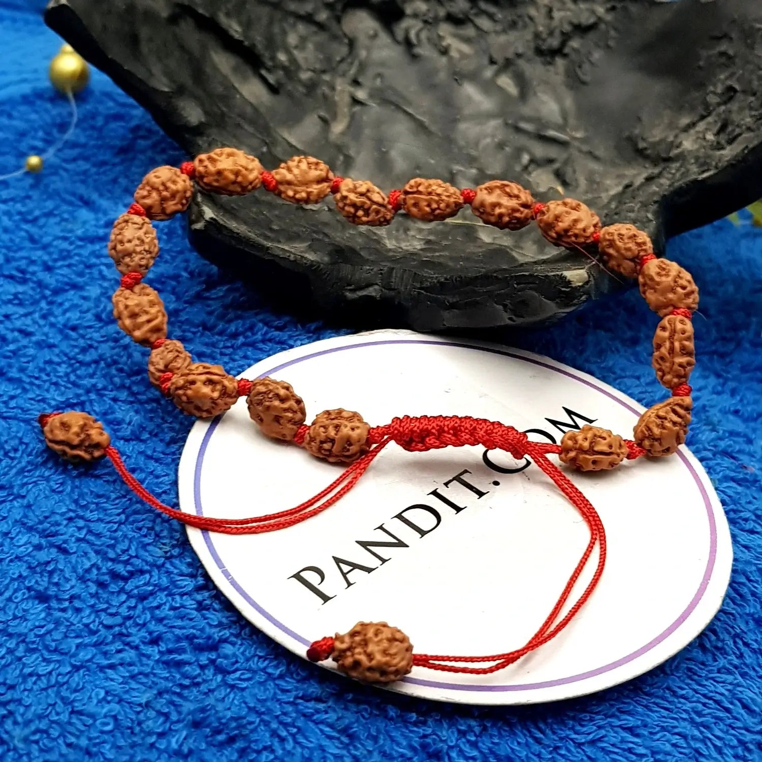 2 Mukhi Rudraksha Bracelet
