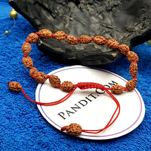 2 Mukhi Rudraksha Bracelet