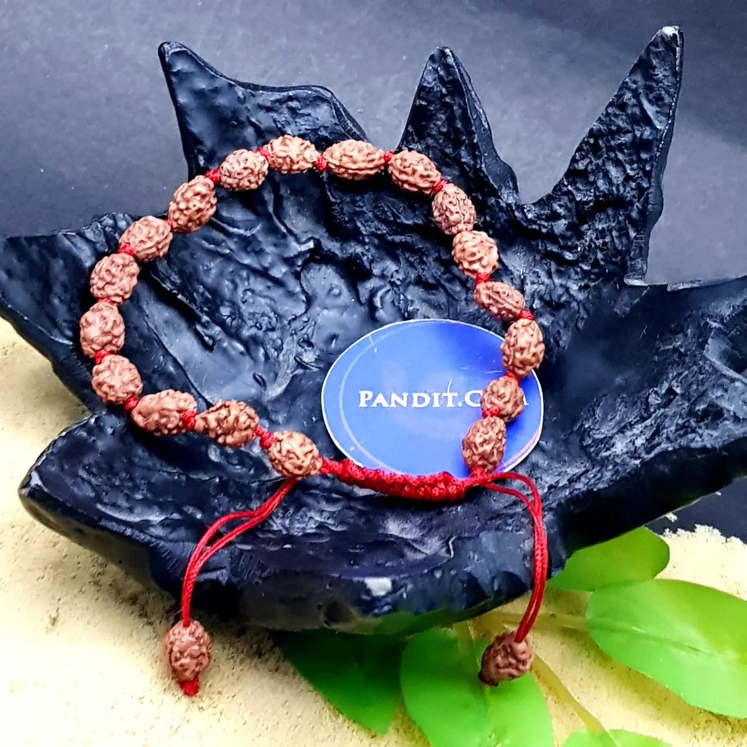2 Mukhi Rudraksha Bracelet