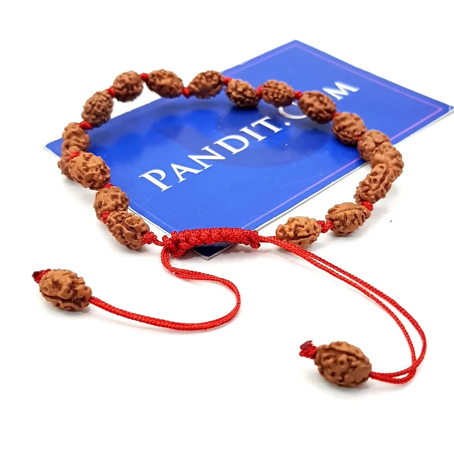 2 Mukhi Rudraksha Bracelet