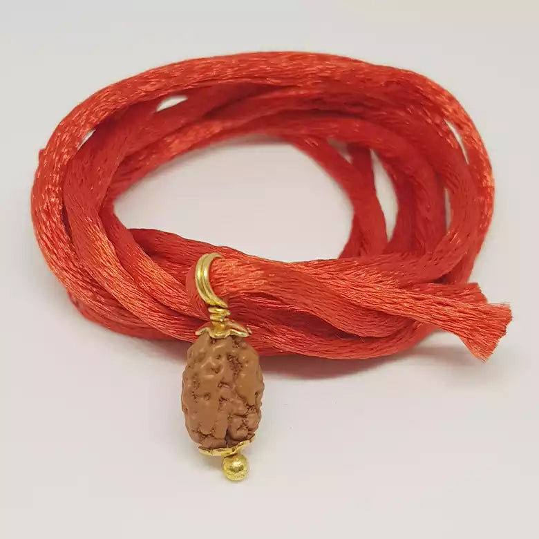 2 Mukhi Rudraksha — packaging back showing wearing instructions