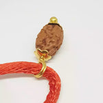 2 Mukhi Rudraksha — main bead view showing mukhi (faces)