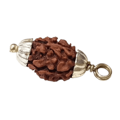 2 Mukhi Rudraksha