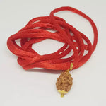 3 Mukhi Rudraksha — bead size reference