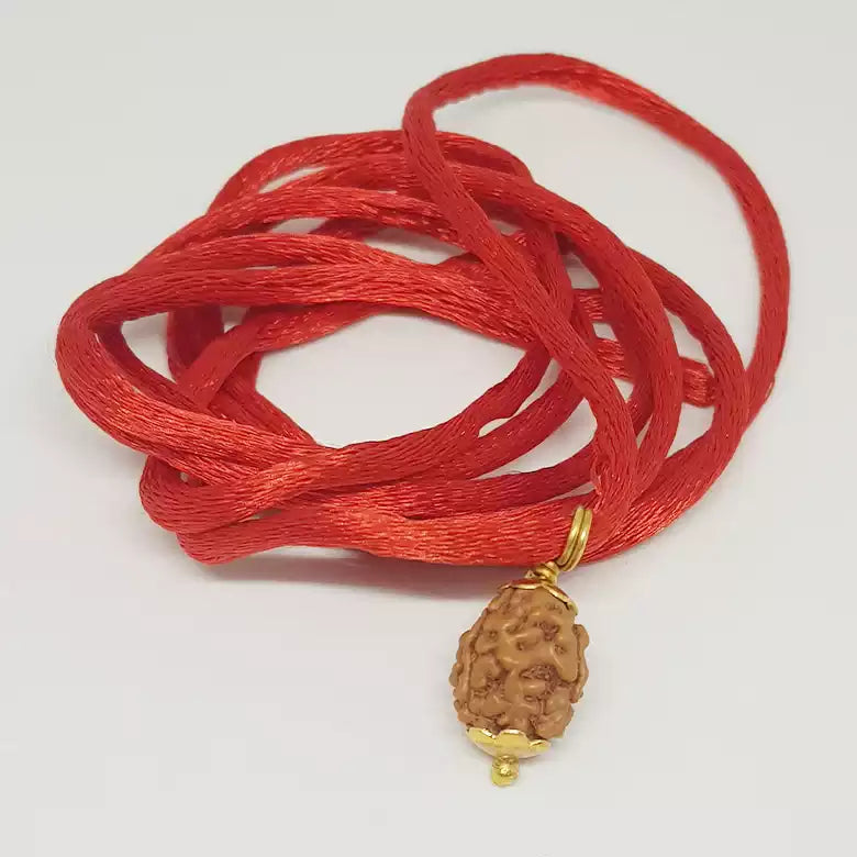3 Mukhi Rudraksha — bead size reference