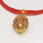3 Mukhi Rudraksha — close-up macro showing surface texture and natural lines