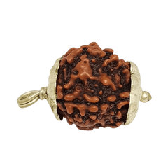 4 Mukhi Rudraksha