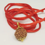 5 Mukhi Rudraksha — main bead view showing mukhi (faces)