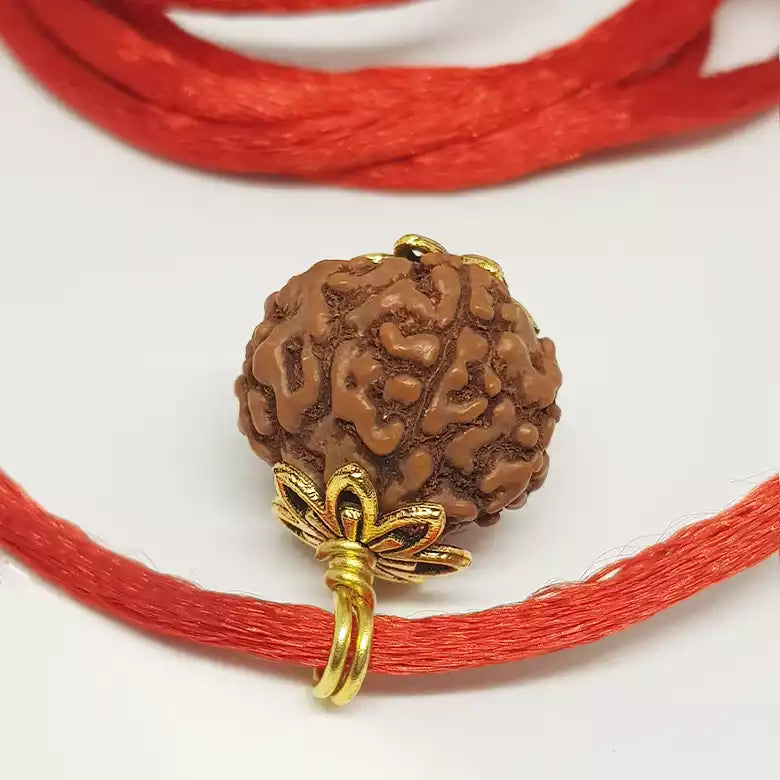 5 Mukhi Rudraksha — close-up macro showing surface texture and natural lines