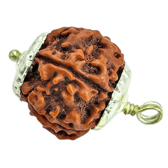 5 Mukhi Rudraksha