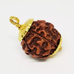Six Mukhi Premium Rare Rudraksha — main bead view showing mukhi (faces)