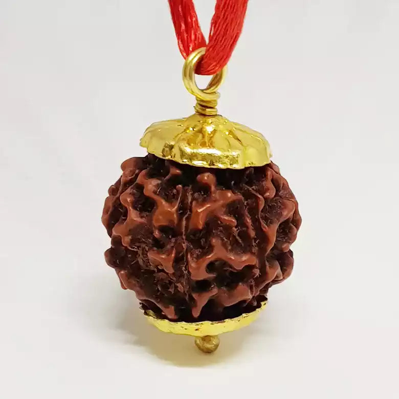 Six Mukhi Premium Rare Rudraksha — close-up macro showing surface texture and natural lines