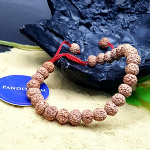 6 Mukhi Rudraksha Bracelet