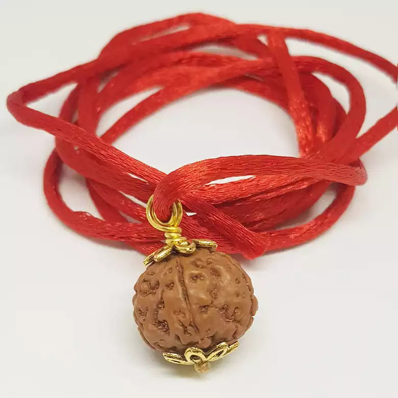 6 Mukhi Rudraksha — main bead view showing mukhi (faces)