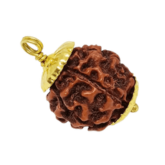 6 Mukhi Rudraksha