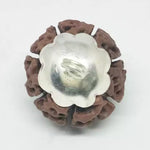 Seven Mukhi Premium Rare Rudraksha — main bead view showing mukhi (faces)