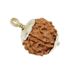 7 Mukhi Rudraksha