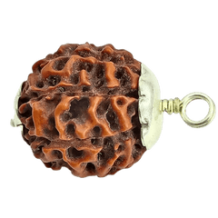 8 Mukhi Rudraksha