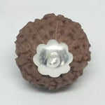 9 Mukhi Rudraksha — close-up macro showing surface texture and natural lines
