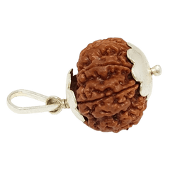 9 Mukhi Rudraksha