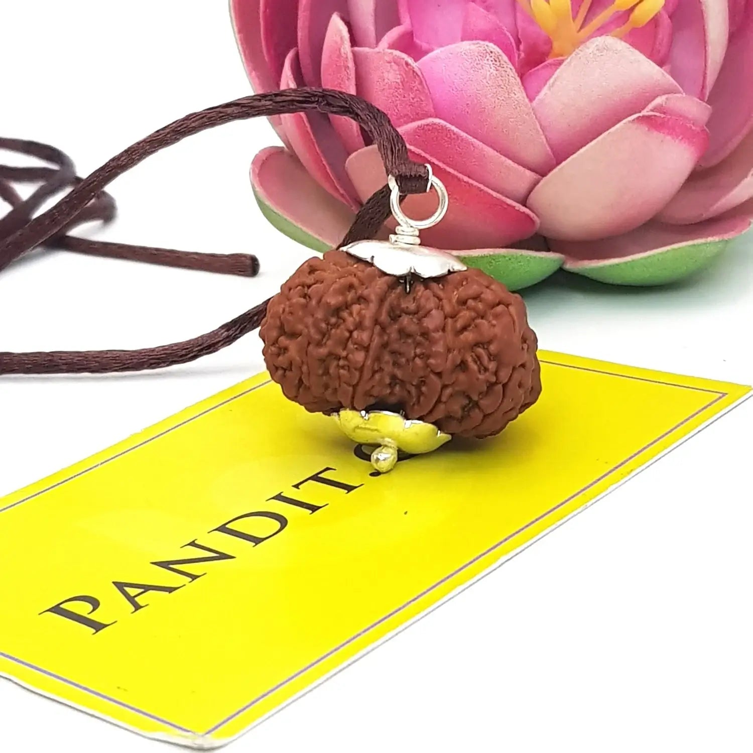 9 Mukhi Super Premium Rudraksha