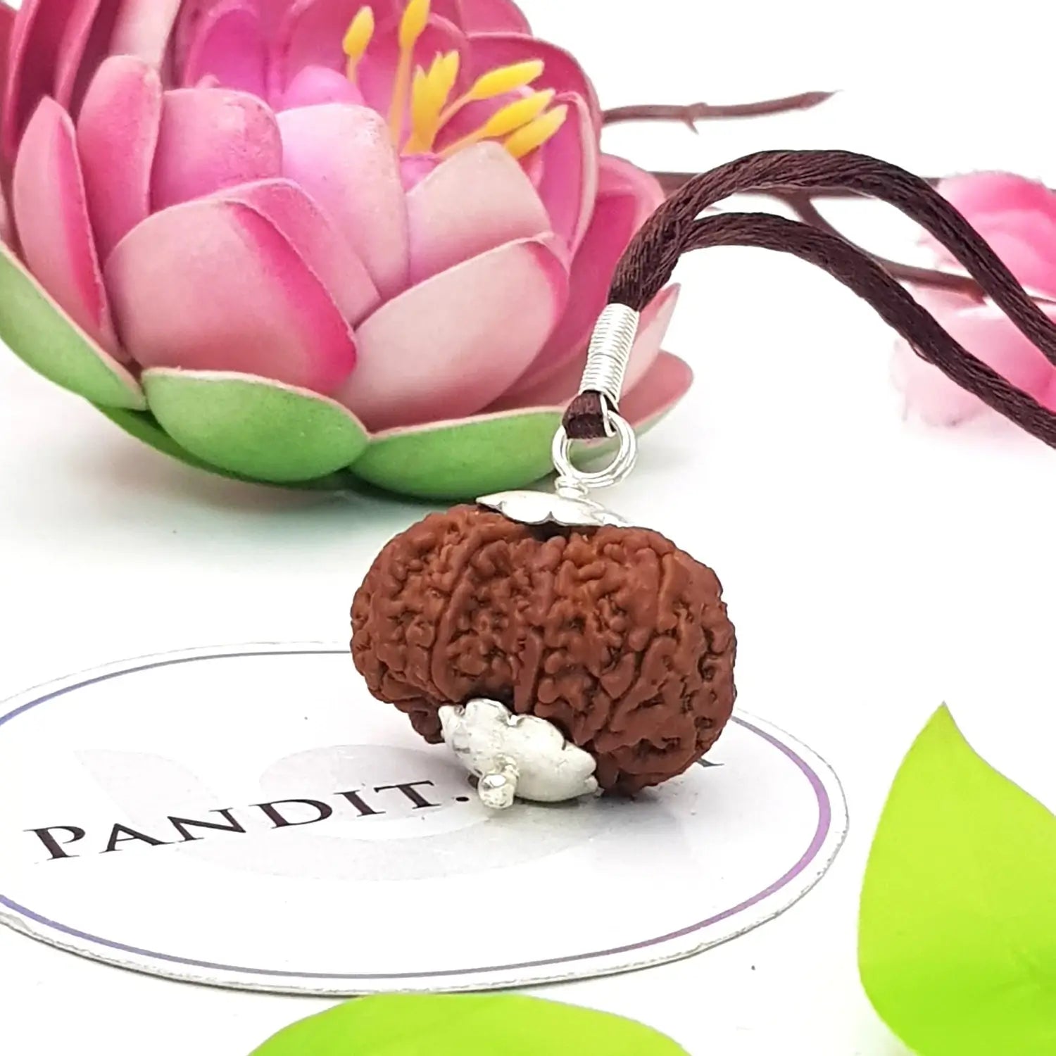 9 Mukhi Super Premium Rudraksha