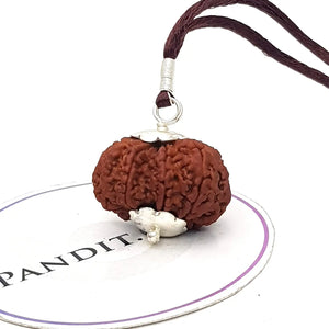 9 Mukhi Super Premium Rudraksha