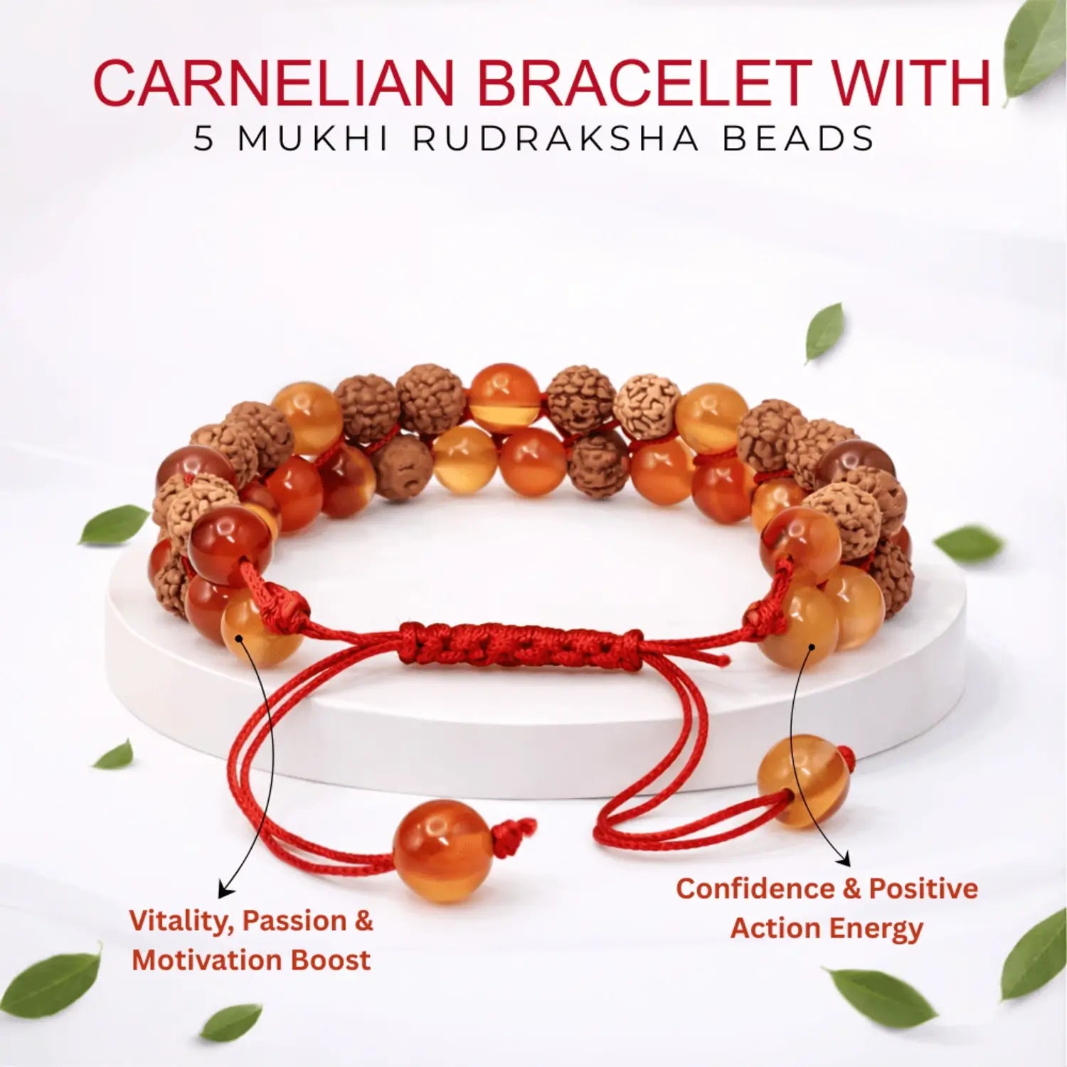 Carnelian Bracelet With 5 Mukhi Rudraksha Beads