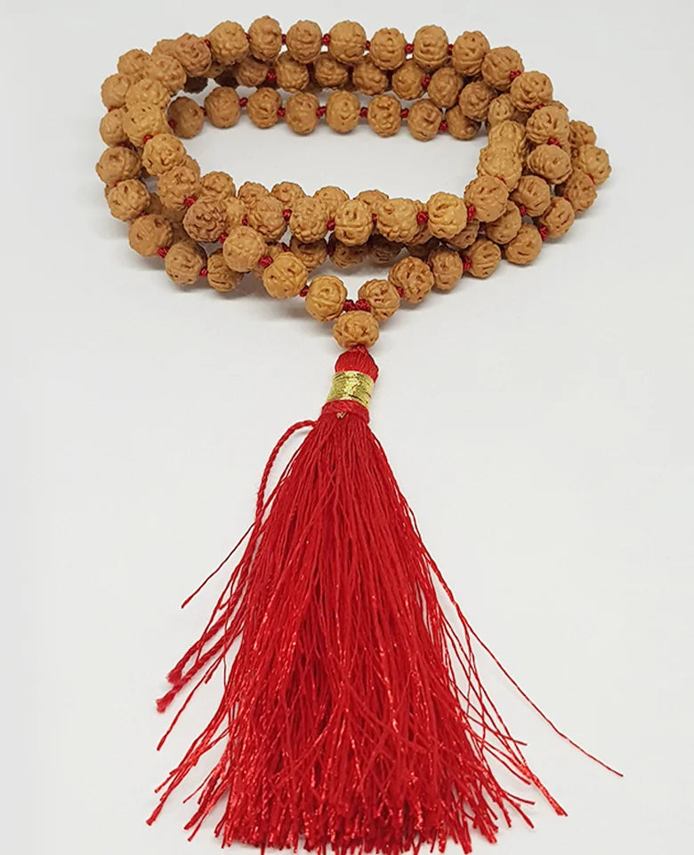 Chikna Rudraksha Mala